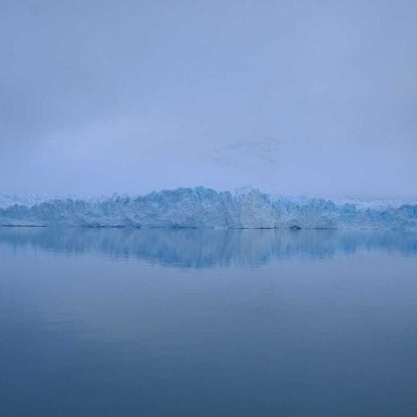 Stainless Steel Hex Bolt