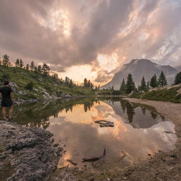 Stainless Steel Wood Screw