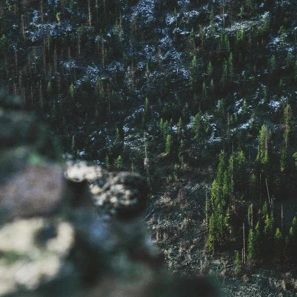 Stainless Steel Flange Nut