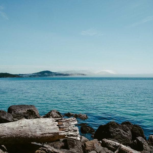 Stainless Steel Belleville Washer