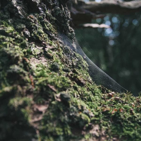 Zinc-Plated Dowel Pin