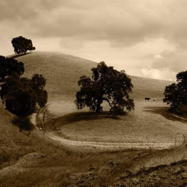 Stainless Steel Dowel Pin