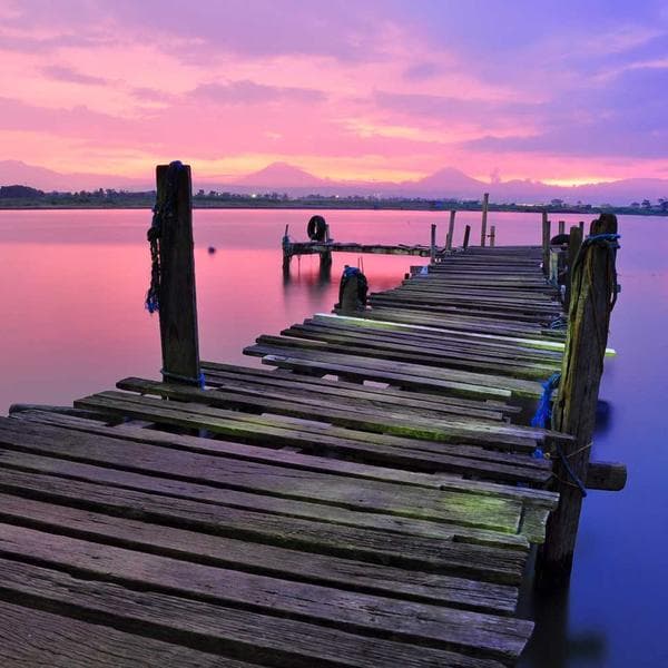 Zinc-Plated Pop Rivet