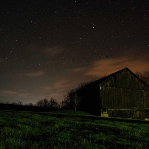 Stainless Steel Anchor