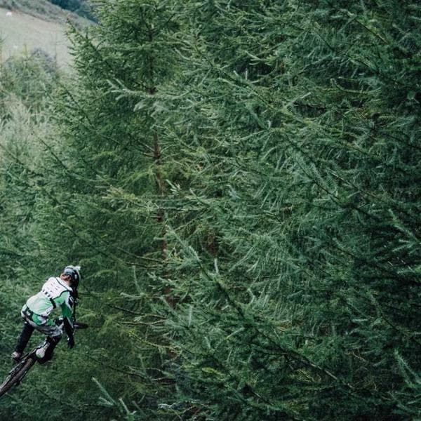 Stainless Steel Drop-In Anchor