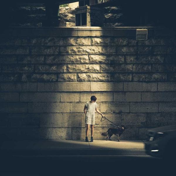 Stainless Steel Hose Clamp