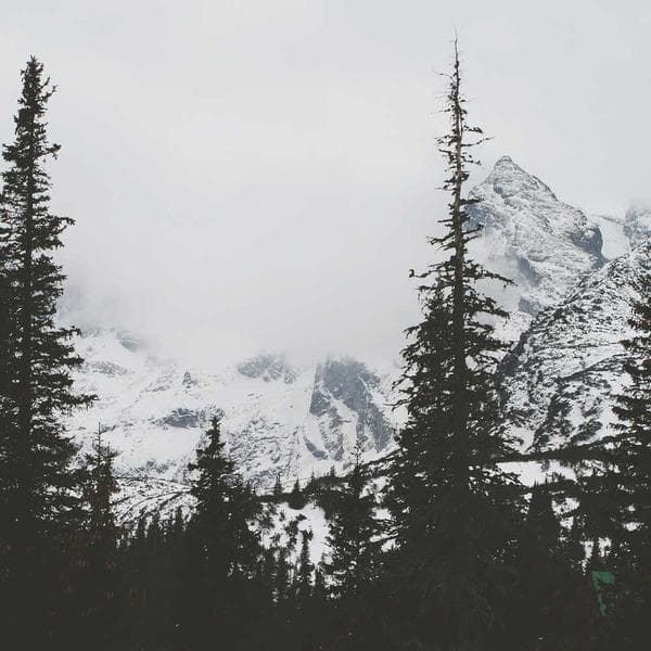 Industrial All-Purpose Cleaner