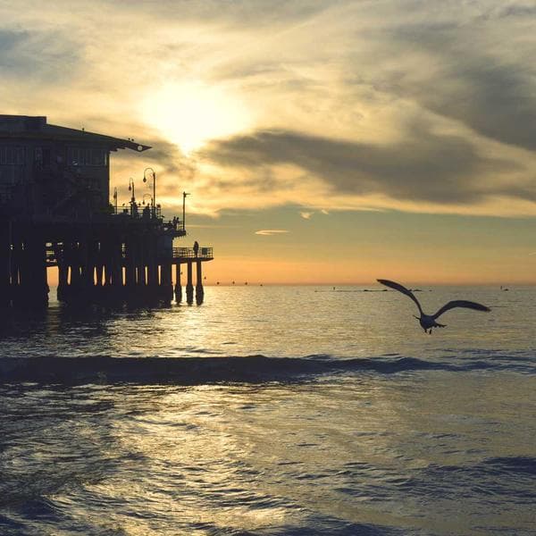 Industrial Glass Cleaner