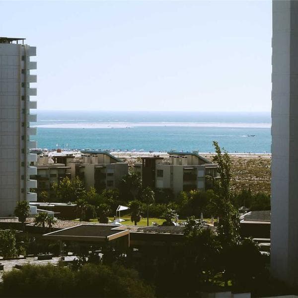 Commercial Glass Cleaner