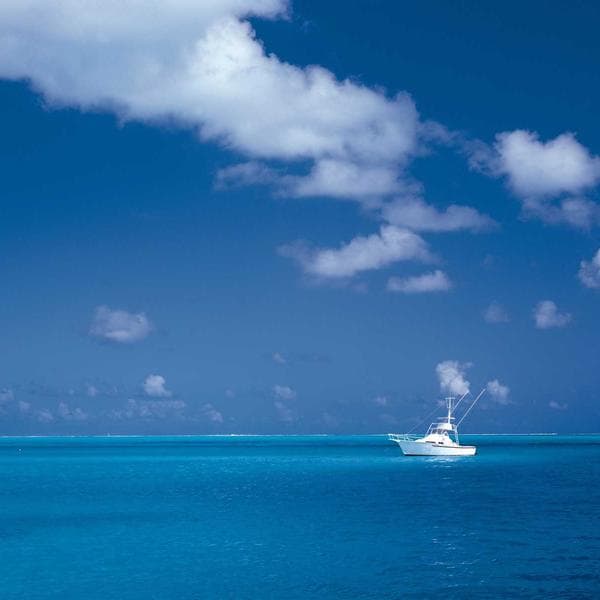 Industrial Hand Soap