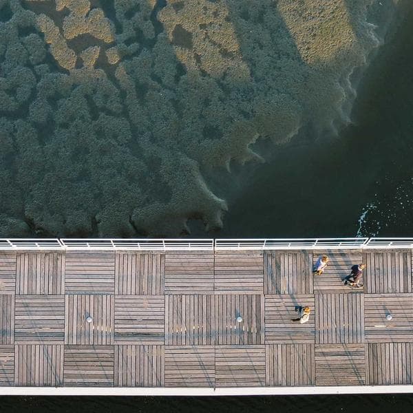 Economy Full-Face Respirator