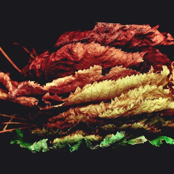 Industrial Trash Bag 33 Gal