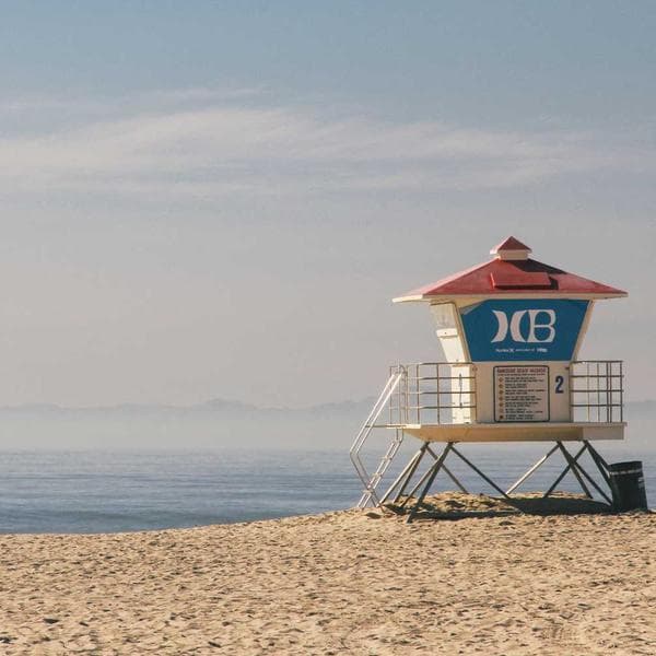 Commercial Trash Bag 33 Gal