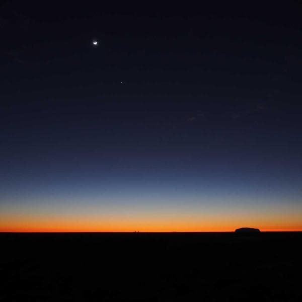 Industrial Biohazard Bag