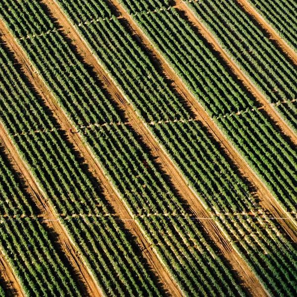 Industrial Wiping Rag