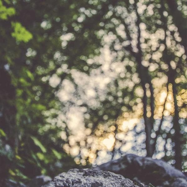 Industrial Spray Bottle