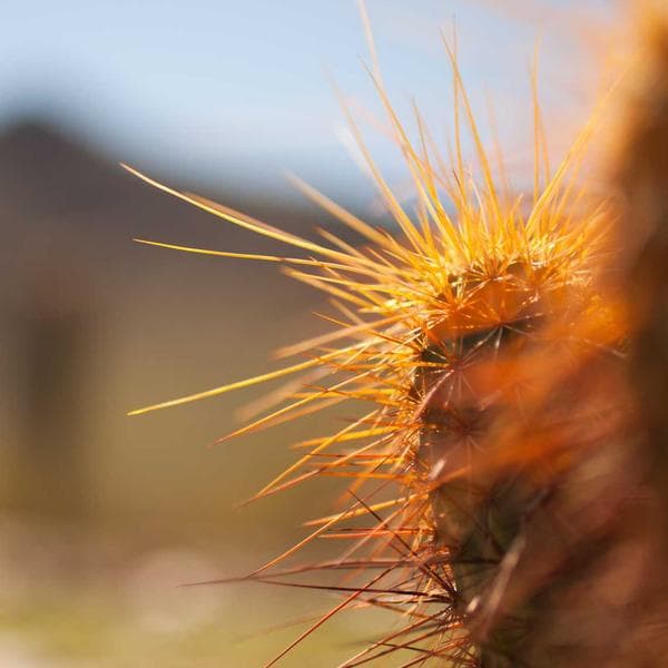 Industrial Odor Eliminator