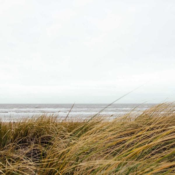 Premium Hi-Vis Jacket