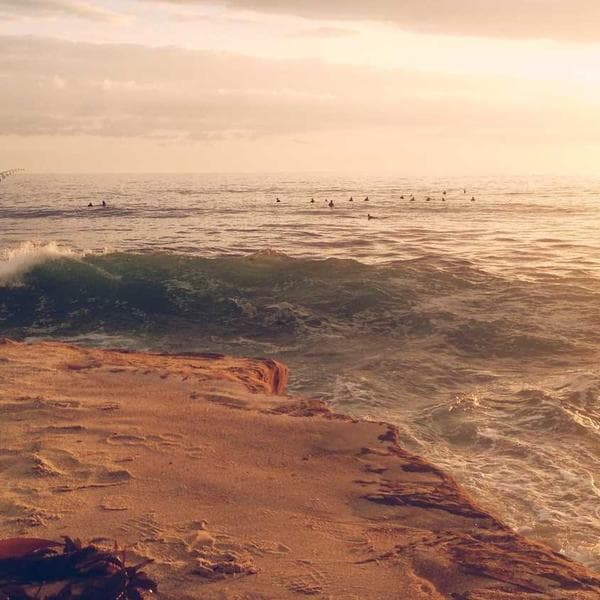 Premium Steel Toe Boot Cover