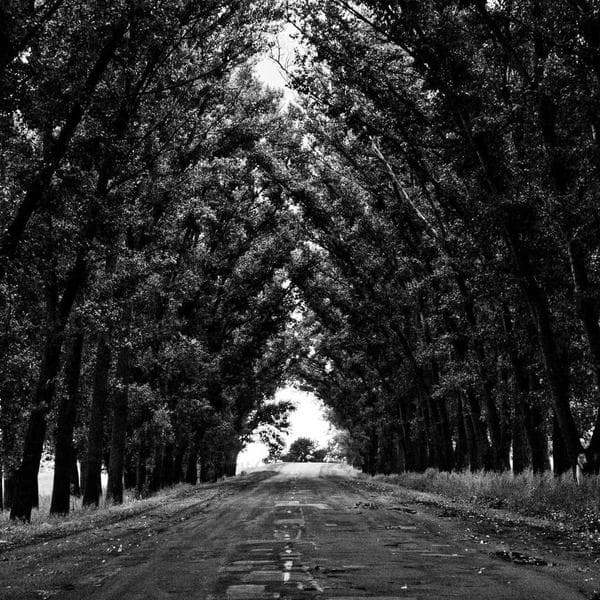 Standard Barcode Label