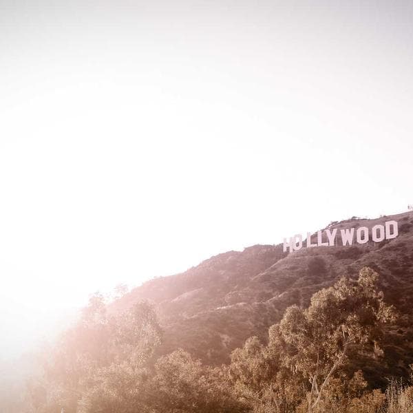 Standard Packing Slip Envelope