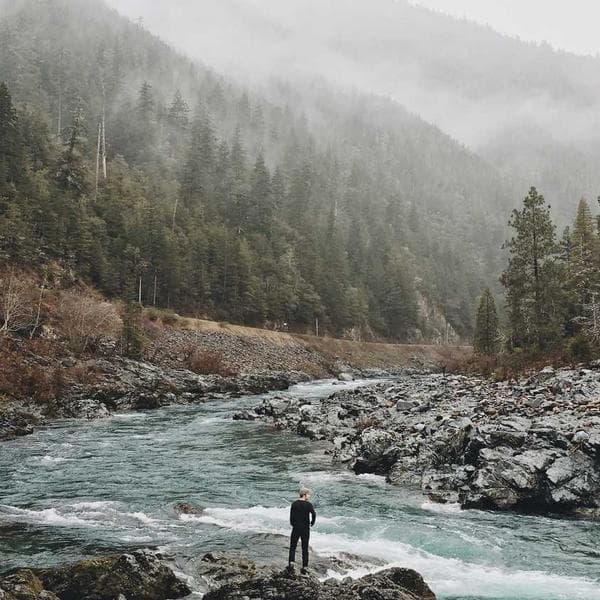 Economy Fall Harness