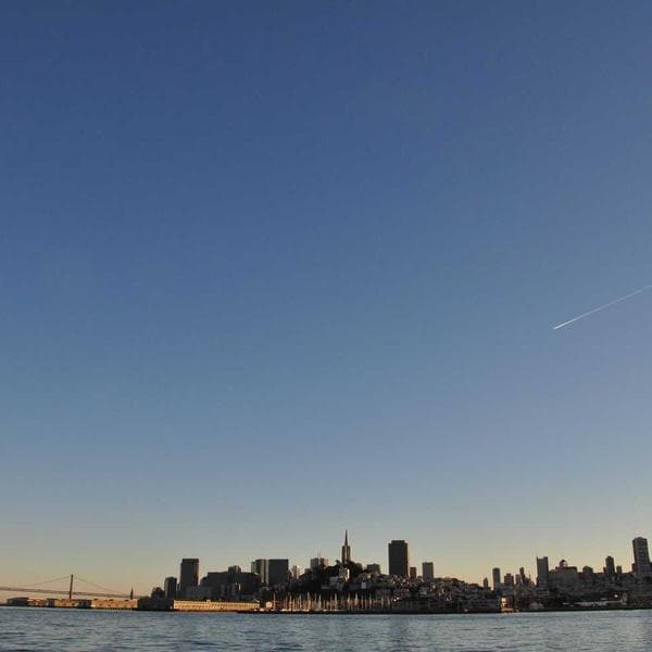 Standard Moisture Barrier Bag