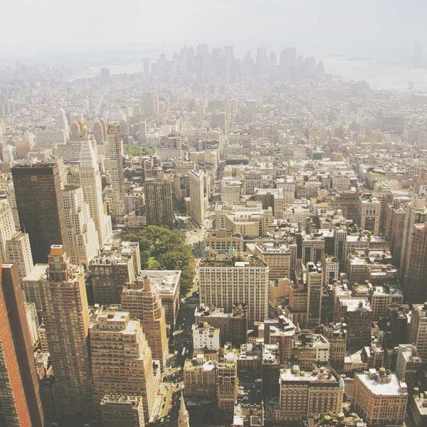 Premium Latex Gloves