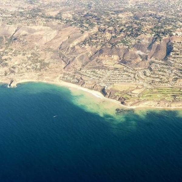 Professional Dead Blow Hammer