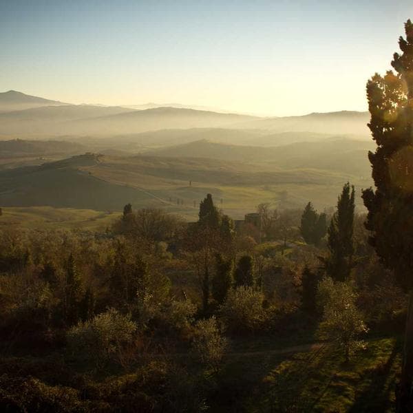 Professional Torx Screwdriver