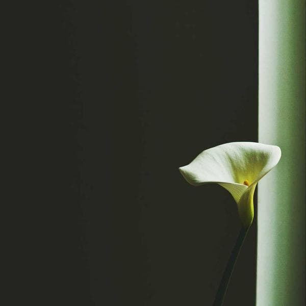 Heavy-Duty Screwdriver Set