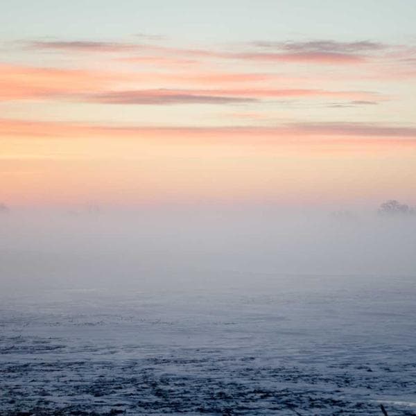 Professional Impact Driver Bit Set