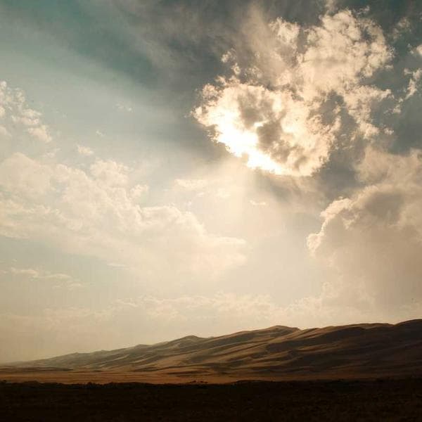 Professional Adjustable Wrench