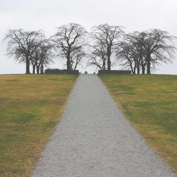 Professional Torque Wrench