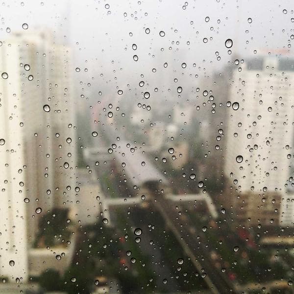 Professional Needle Nose Pliers