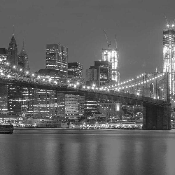 Heavy-Duty Wire Stripper