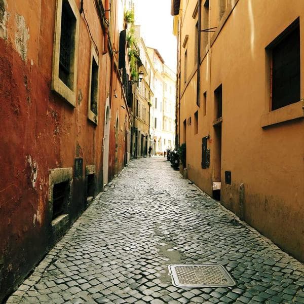 Premium Self-Retracting Lifeline