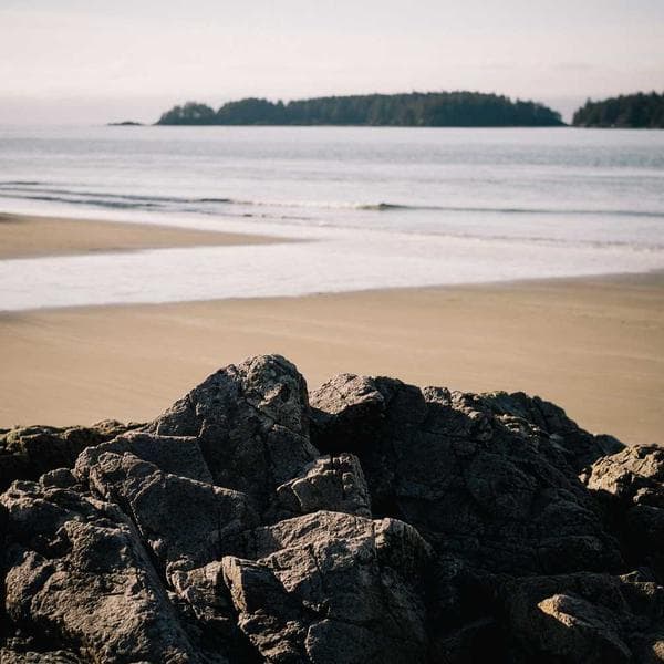 Professional Tape Measure 25ft