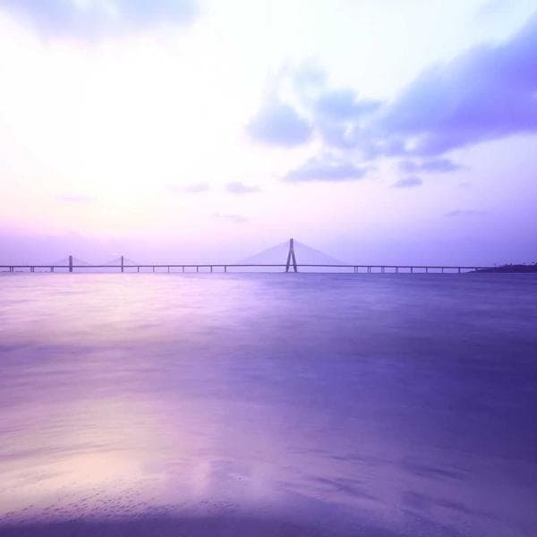 Professional Spirit Level