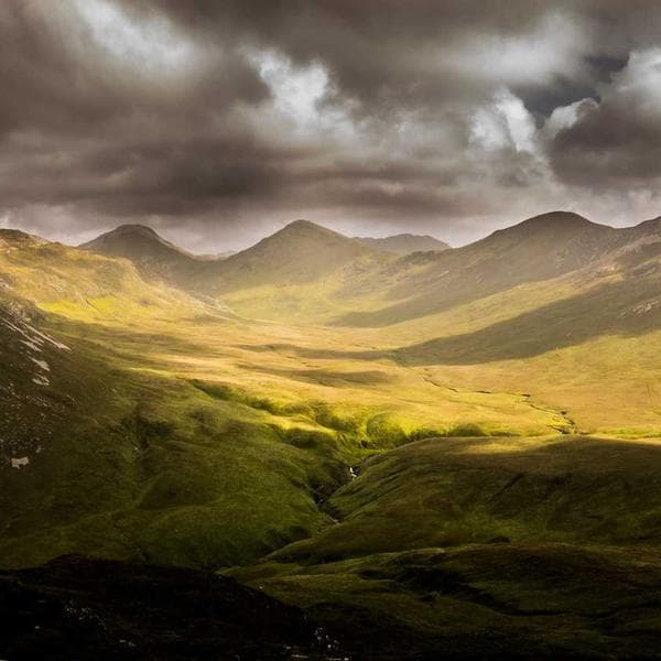 Professional Pry Bar