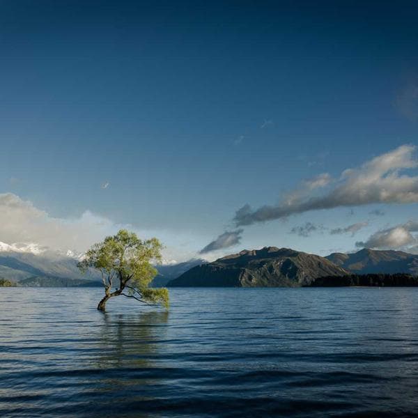 Professional Allen Key Set (Metric)