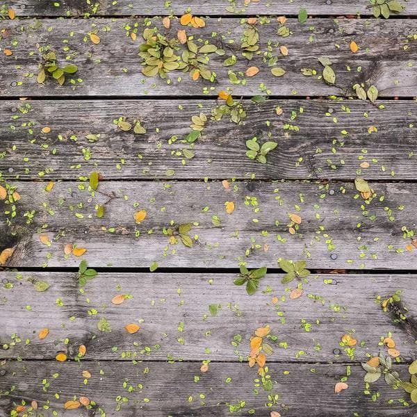 Professional Clamp Set