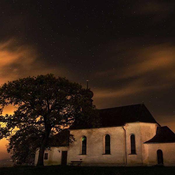 Economy Safety Glasses