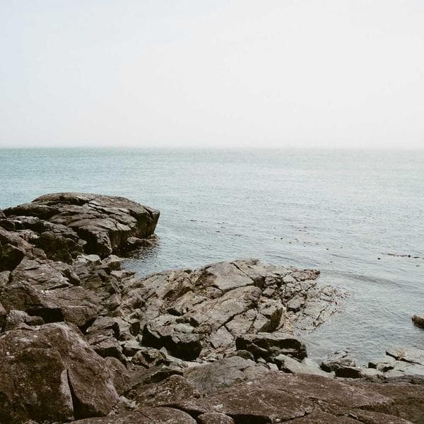 Premium Fire Extinguisher