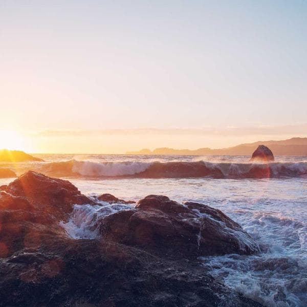 Premium Welding Gloves