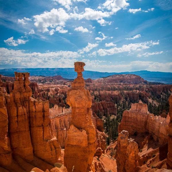 Premium Anti-Fatigue Mat